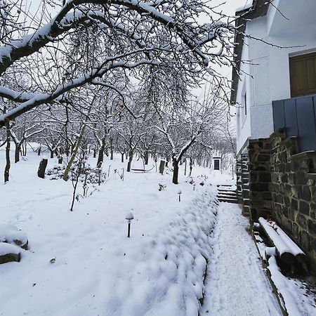 Almas Tanya Vendeghaz Βίλα Szuha Εξωτερικό φωτογραφία